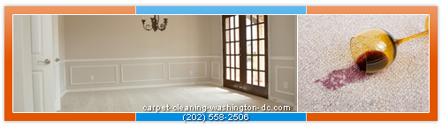 carpet steam cleaning Washington DC