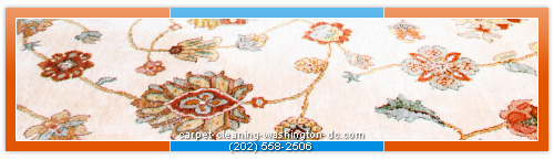 oriental & area rug cleaning services
