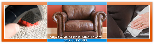 upholstery cleaning in Washington DC